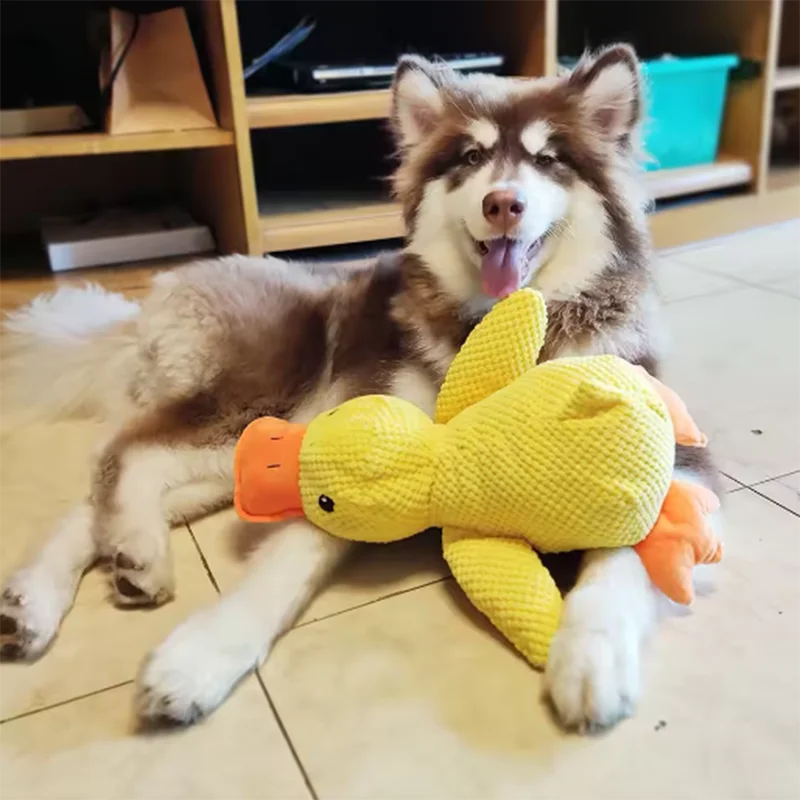 Calming Duck Dog Toy