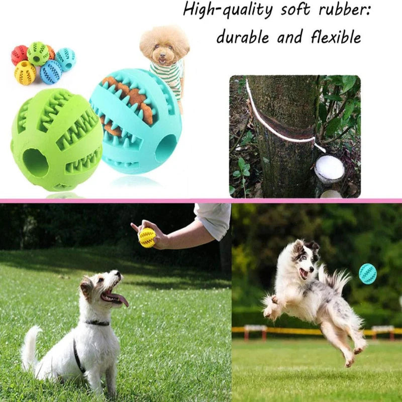 Interactive Dog Treat Feeder Toy